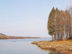 -长广溪湿地公园