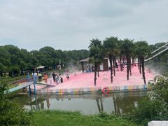 -苏州太湖西山岛开心农场