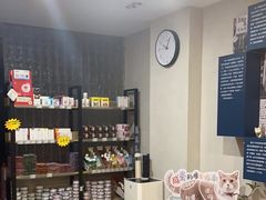 -伟伟宠物医院·CT影像中心·瑞派犬猫综合性门诊(汉口总院)