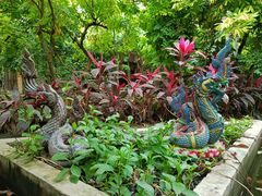 -呀路古热带植物园