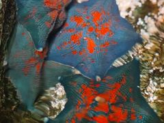 -沈阳海洋探索中心