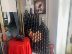 -雅曼妮spa美容养生