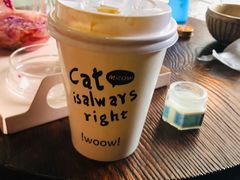 -喵屿·大理花园猫咖