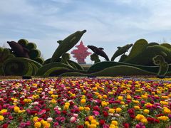 -宴小馆·小海鲜青岛菜(五四广场店)