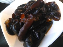 黑木耳-百事佳烧鸭牛腩(上海虹桥站店)