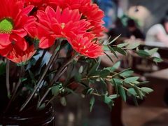 -Apollo·西班牙小酒馆(安福路店)