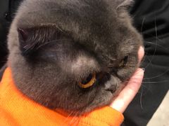 -八公叔叔宠物美容连锁(春申店)