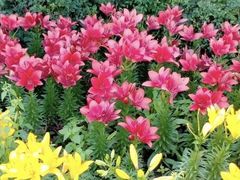 -长春公园(普阳街道)