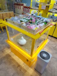 点击看大图 -神奇动物撸宠馆·羊驼·小浣熊·异宠(豫园店)