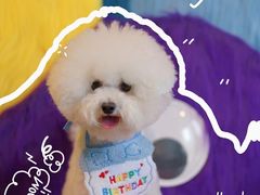 -百好乐宠物友好餐厅(朝外大街店)