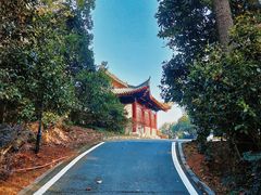 -潜山国家森林公园