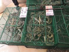 -荔城生鲜盛宴(番禺旗舰店)