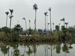 -枫香湖儿童公园