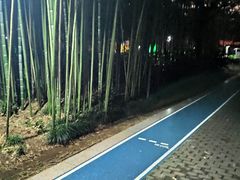 -苏州河梦清园环保主题公园