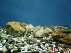 -多彩贵州城极地海洋世界