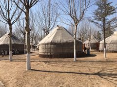 -九十九顶毡房(阜石路店)