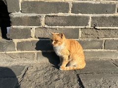 -慕田峪长城