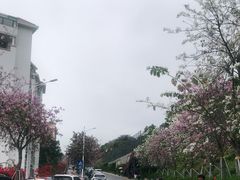 -小南山公园