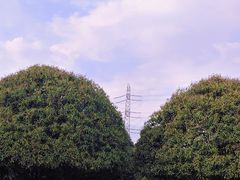 -重庆园博园