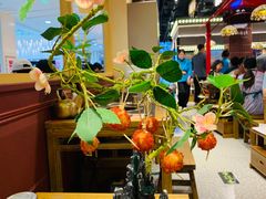 -旺蜀主成都串串火锅(西直门凯德MALL店)
