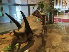 -抱璞文化展示中心