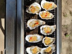 -尚庄度假村·庭台树下·户外烧烤·团建CS·轰趴营地(上庄水库店)