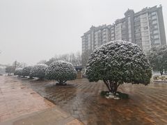 -唐城墙遗址公园