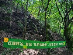 -红崖峡谷景区