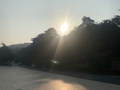 -紫金山山顶公园