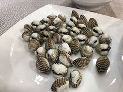 血蛤-星龙海鲜(望江东路店)