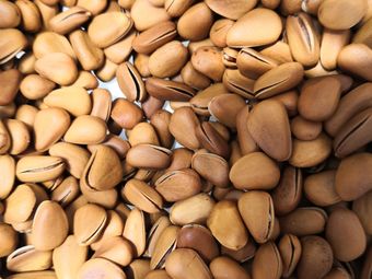 北京松子相关搜索结果推荐-大众点评网