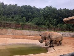 -泉州海丝野生动物世界