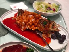 松鼠桂鱼-松鹤楼(狮山永利广场店)