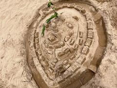 -青枫公园