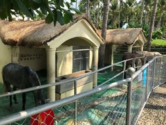 -三亚亚龙湾天域度假酒店