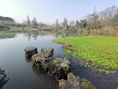 -桤木河湿地公园