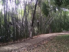 -包公祠