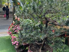 -山水茶艺馆·点心粤菜·30年老字号
