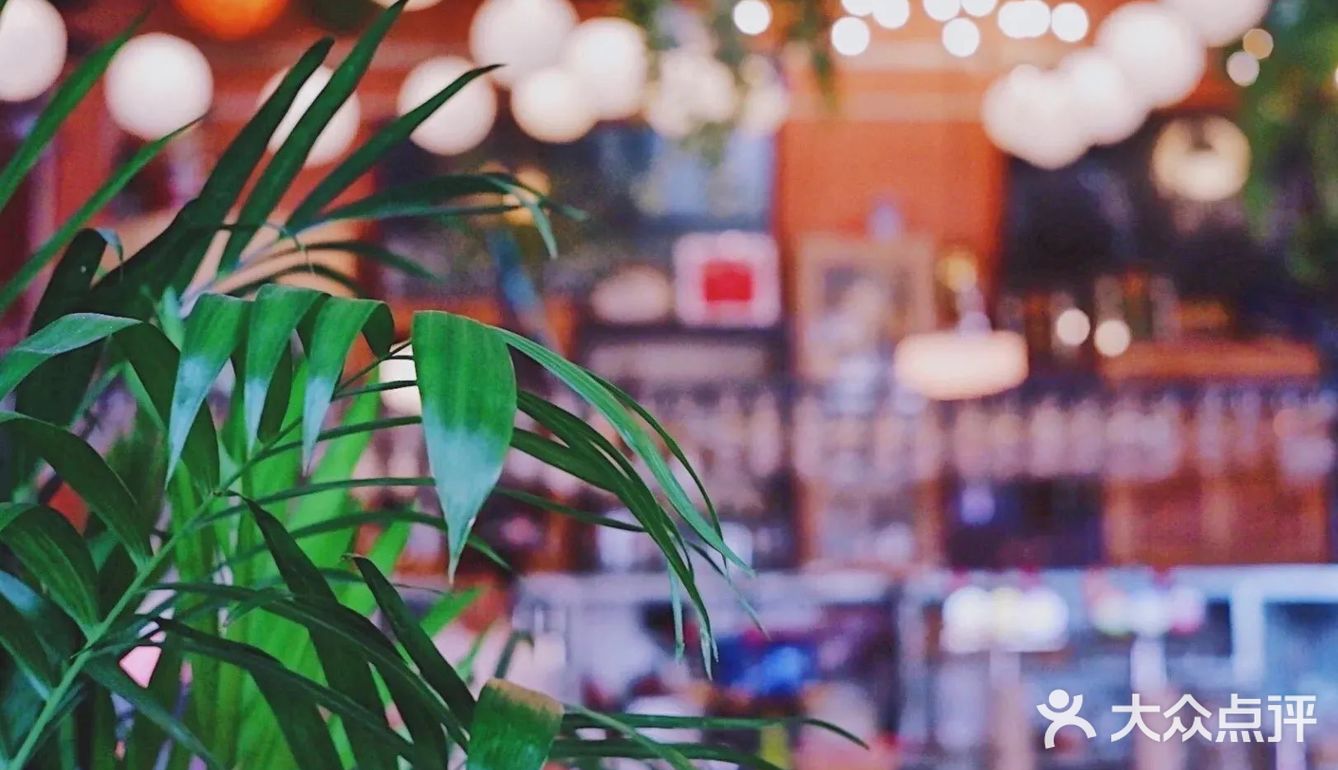 豪横‼️这棵马天尼树比Mojito还上头🍸