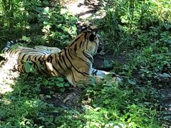 -哈尔滨北方森林动物园