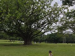 -东莞植物园