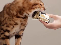 -好利来(青年宫店)