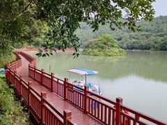 -广州白江湖森林公园