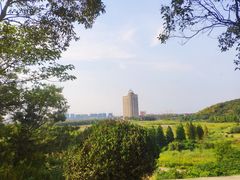 -平湖九龙山旅游度假区