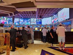 -拉斯维加斯永利酒店