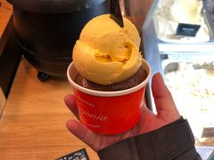 -Patagonia Chocolates(皇后镇店)