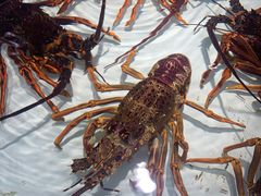 -万龙洲海鲜(大兴绿地缤纷城店)