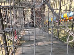 -清远熹乐谷温泉度假酒店