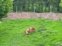 -西霞口神雕山野生动物世界