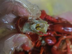 -草本味·市井羊肉馆(新开铺总店)